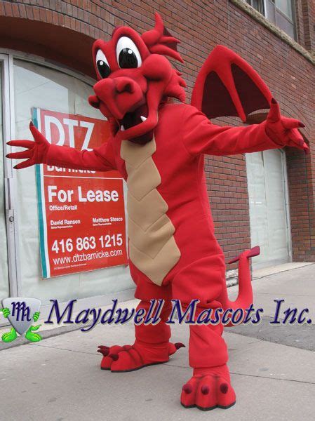 Dragon mascot apparel: From the sidelines to the streets